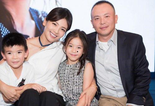 刘涛老公欠了多少钱,欠债数额令人咋舌