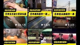 昆明海豚湾爆料事件视频,揭开背后惊人真相