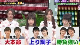 日本quiz比赛,智力竞技的巅峰对决