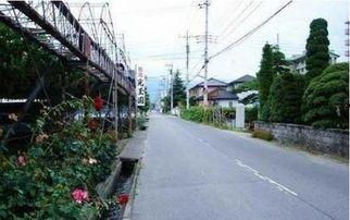 日本乡村道路,探寻诗意盎然的古道风情