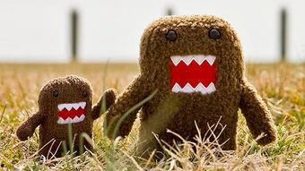 日本domo,传统与现代的完美融合