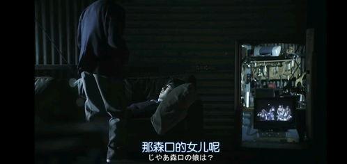 日本电影 rmvb,穿越时空的浪漫之旅