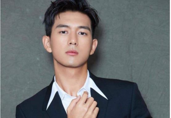 明星 李,星光璀璨的演艺之路