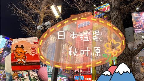 日本扭蛋在那,潮流玩具的奇幻之旅