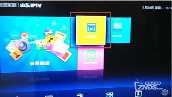 h在线播放免安装,h在线播放免安装，畅享便捷观影体验