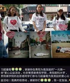 人肉 日本之家,探寻日本文化的魅力与精髓