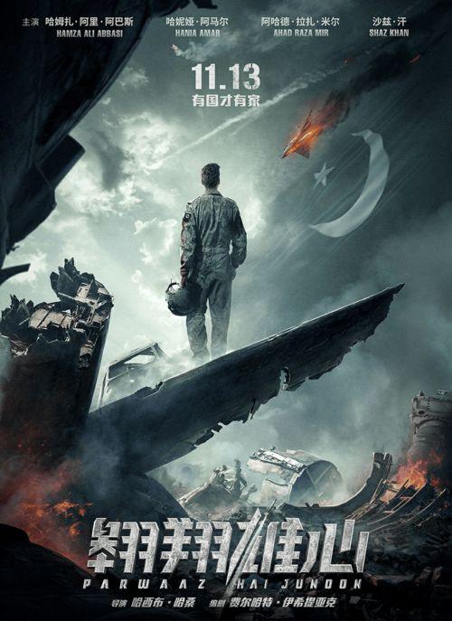 翱翔雄心免费观看