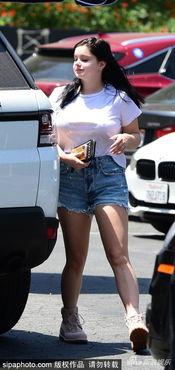 美国明星芮,美国影视界的璀璨明星