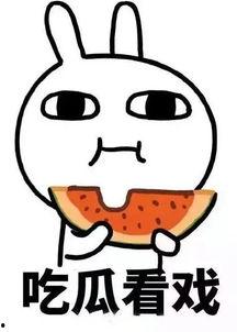 娱乐吃瓜酱专科